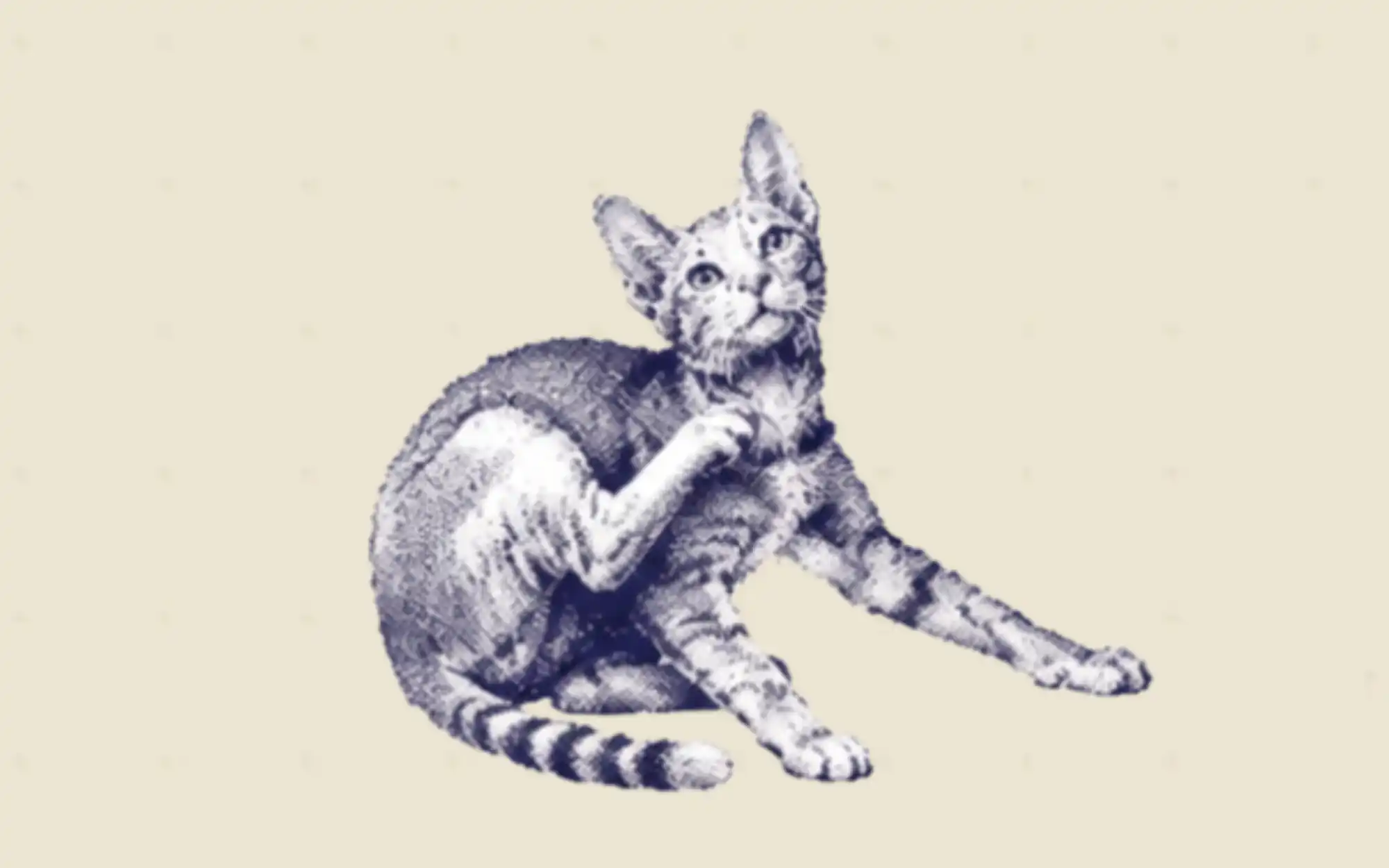 AI for Content Marketing: What Actually Works cover image