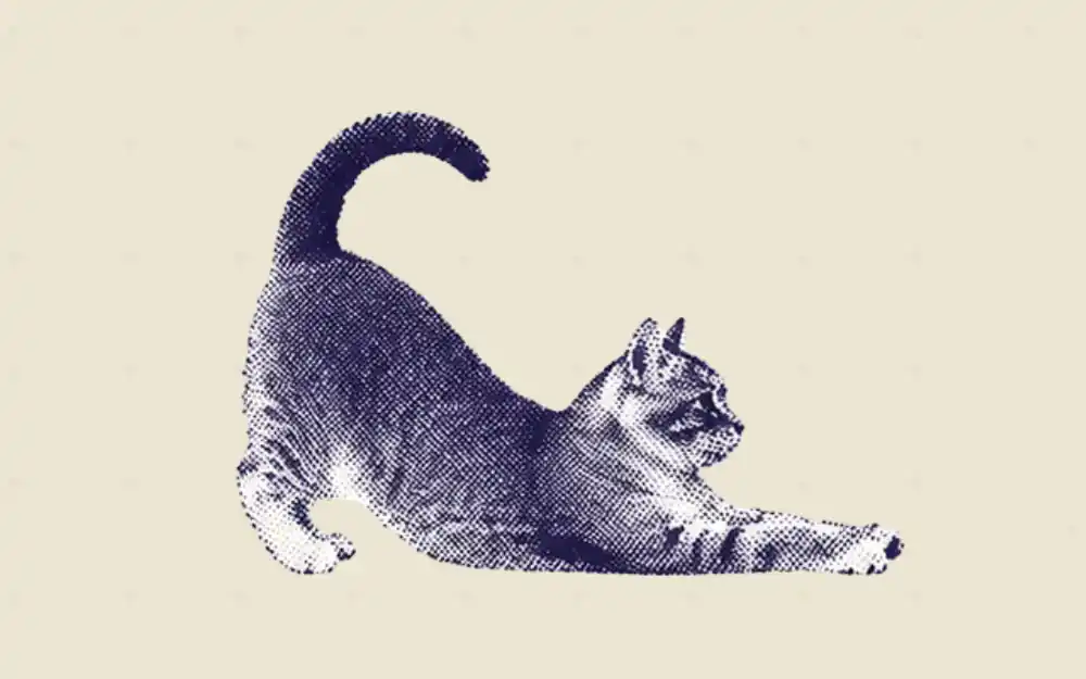 How to Convert Text to HTML with AI: A 5-Step Guide cover image