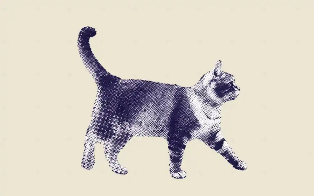 How to Create AI Skills for Consistent Results (2026) cover image