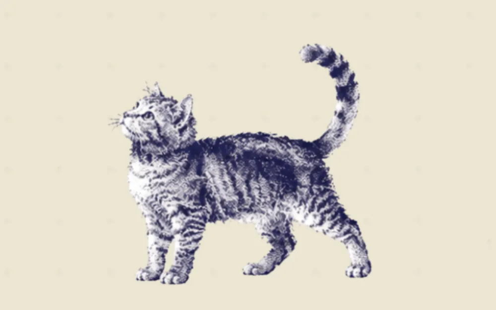 7 Best OpenAI Codex Alternatives for Developers (2026) cover image